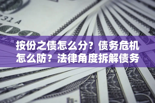 北京按份之债怎么分？债务危机怎么防？法律角度拆解债务分配与风险自保指南