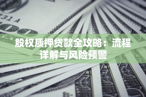 北京股权质押贷款全攻略：流程详解与风险预警