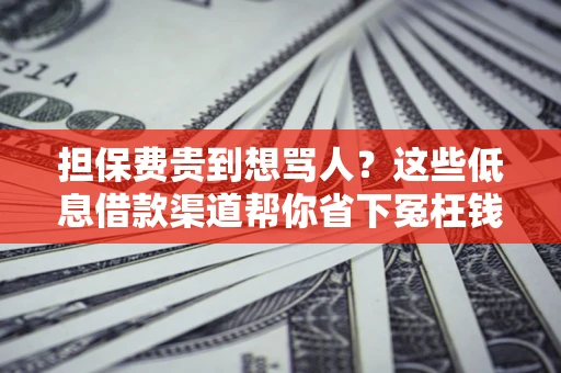 北京担保费贵到想骂人？这些低息借款渠道帮你省下冤枉钱