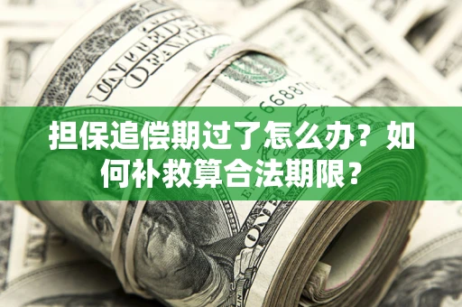 北京担保追偿期过了怎么办？如何补救算合法期限？