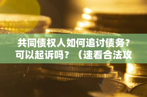 北京共同债权人如何追讨债务？可以起诉吗？（速看合法攻略）