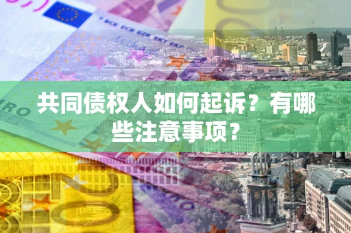 北京共同债权人如何起诉？有哪些注意事项？