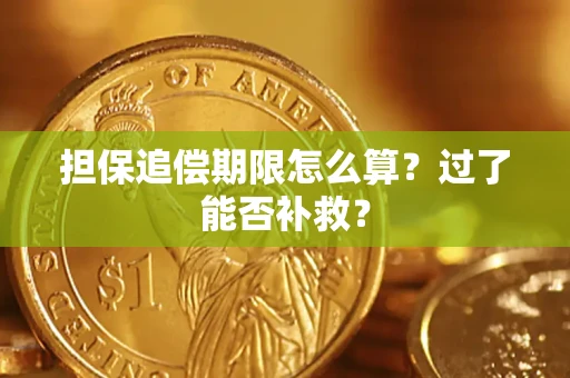 北京担保追偿期限怎么算？过了能否补救？